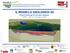 IL MODELLO GEOLOGICO 3D. Chiara D Ambrogi & Francesco Maesano ISPRA Servizio Geologico d Italia