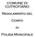 COMUNE DI CUTROFIANO. Regolamento del. Corpo. Polizia Municipale