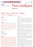 Varici esofagee. 1. Che cosa sono le varici esofagee? 40 Evidence based nursing. 1. What are the Esophageal varices? N.5/2013 IJN. Esophageal varices