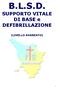 CORSO SUPPORTO VITALE DI BASE E DEFIBRILLAZIONE PRECOCE (BLS-D) PER SANITARI (PERSONALE VOLONTARIO SOCCORRITORE LIVELLO AVANZATO)