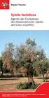 Xylella fastidiosa. Agente del Complesso del disseccamento rapido dell olivo (CoDiRO) Regione Toscana