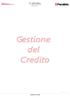 1 GESTIONE DEL CREDITO