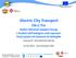 Electric City Transport Ele.C.Tra Italian National Support Group I risultati dell indagine ante-operam: Focal points ed elementi di dettaglio