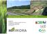 Iridra Srl fitodepurazione e gestione sostenibile delle acque via la Marmora 51, 50121 Firenze Tel. 055470729 Fax 055475593 www.iridra.