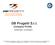 DB Progetti S.r.l. Company Profile