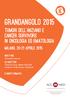 GRANDANGOLO 2015 TUMORI DELL ANZIANO E CANCER SURVIVORS IN ONCOLOGIA ED EMATOLOGIA MILANO, 20-21 APRILE 2015. DIRETTORE Armando Santoro