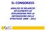 IL CONSORZIO ANALISI DI BILANCIO ED ELEMENTI DI RIFLESSIONE PER LA DEFINIZIONE DELLE STRATEGIE 2008-2011