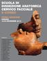 ScuoLa di dissezione anatomica cervico FacciaLe ii corso