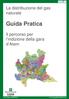 La distribuzione del gas naturale. Guida Pratica. Il percorso per l indizione della gara d Atem