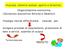 Impresa: sistema sociale aperto e dinamico. Impiega risorse differenziate (scarse) per