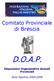 Comitato Provinciale. di Brescia D.O.A.P. Disposizioni Organizzative Annuali Provinciali