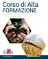 Corso di Alta FORMAZIONE IN SISTEMI QUALITA E CERTIFICAZIONE PER AZIENDE AGROALIMENTARI. www.gruppomidi.it