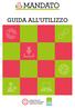 GUIDA ALL UTILIZZO Consiglio Nazionale dei Dottori Commercialisti e degli Esperti Contabili