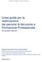 Linee guida per la realizzazione dei percorsi di Istruzione e Formazione Professionale