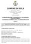 COMUNE DI PULA. P r o v i n c i a d i C a g l i a r i. C.so Vittorio Emanuele, 28 C.A.P. 09010 Tel. 070-924401 Fax 070-9249051 C.F.