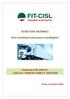 SEGRETERIA NAZIONALE. Area Contrattuale autotrasporto merci/logistica. Piattaforma CCNL 2008-2011 LOGISTICA, TRASPORTO MERCI E SPEDIZIONE