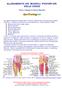 ALLENAMENTO DEI MUSCOLI POSTERIORI DELLE COSCE