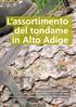 L assortimento del tondame in Alto Adige
