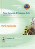 GRUPPO DI LAVORO. Piano Comunale di Protezione Civile Revisione anno 2007. Redattori Geom. Giammarco Pilia Comune di Brescia