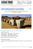 SPLENDIDO SUDAN. Siti archeologici nubiani e l incontro con genti, villaggi e paesaggi.