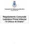 Comune di Vallesaccarda (Av) Provincia di AVELLINO. Regolamento Comunale Ludoteca Prima Infanzia Il Chicco di Grano