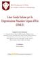 Linee Guida Italiane per la Degenerazione Maculare Legata all Età (DMLE)