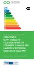 CREAZIONE DI NUOVI MODELLI DI COLLABORAZIONE E DI STRUMENTI DI ANALISI PER FAVORIRE L EFFICIENZA ENERGETICA NELLE PMI