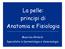 La pelle: principi di Anatomia e Fisiologia. Maurizia Ghilardi Specialista in Dermatologia e Venereologia