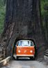 GIONA DELLE SEQUOIE. Alla scoperta delle sequoie millenarie in California e degli alberi monumentali in Italia