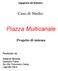 Piazza Multicanale. Caso di Studio: Progetto di sistema. Realizzato da: Addante Michele Daddario Fabio De Vito Francesco Cania Lagrotta Piero