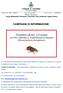 VADEMECUM DEL CITTADINO LOTTA CONTRO IL PUNTERUOLO ROSSO (Rhynchophorus ferrugineus)