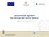 La comunità egiziana nel mercato del lavoro italiano