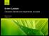 Green Leases. Clausole standard ed esperienze europee. Alberto Carrara. 25 giugno 2013