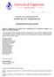 Comune di Capannoli. Provincia di Pisa REGISTRO DELLE DELIBERAZIONI DEL CONSIGLIO COMUNALE DELIBERAZIONE N.34 DEL 24/04/2002