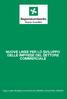 NUOVE LINEE PER LO SVILUPPO DELLE IMPRESE DEL SETTORE COMMERCIALE