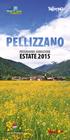 ESTATE 2015 COMUNE DI PELLIZZANO