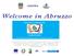 P.O. FSE Abruzzo 2007/2013 - PROGETTO SPECIALE MULTIASSE Turismo e accoglienza Piano Operativo 2011-2013 Linea di intervento 6 Asse 1 Adattabilità