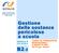 B2-2. Gestione delle sostanze pericolose a scuola. CORSO DI FORMAZIONE RESPONSABILI E ADDETTI SPP EX D.Lgs. 195/03. MODULO B Unità didattica