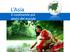 L'Asia Il continente più vasto del mondo