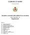 COMUNE DI NARNI. Disciplina comunale delle attività di acconciatore. Regolamento. (Provincia di Terni) Legge 17 agosto 2005, n.