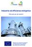 Industria ed efficienza energetica