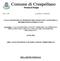 Prot.n. 7483 Crespellano, li 10/05/2011 VALUTAZIONE DELLE POSIZIONI ORGANIZZATIVE AI FINI DELLA RETRIBUZIONE DI RISULTATO