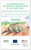 Piemonte FEASR Fondo europeo per lo sviluppo rurale L Europa investe nelle zone rurali