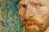 ARTE E NATURA Van Gogh: L uomo e la terra.