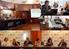 Convegno per la presentazione dei risultati del Progetto di Ricerca Corrente 2012. Roma, 7 novembre 2014