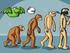 L EVOLUZIONE DELLA SPECIE