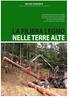 LA FILIERA LEGNO NELLE TERRE ALTE