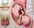 Disfunzioni tiroidee e gravidanza