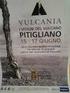 VULCANIA I vitigni del Vulcano PITIGLIANO, 16 e 17 GIUGNO 2013. vini in degustazione