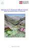 Pagina 0 di 35. Manuale per il rilevamento GPS dei tracciati della rete sentieristica in Piemonte